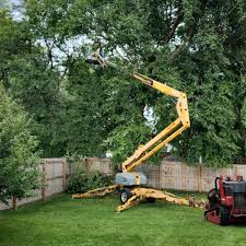 Best Lawn Watering Services  in Milton, GA