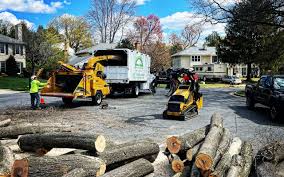 Tree and Shrub Care in Milton, GA