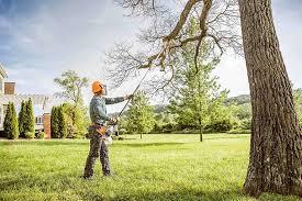 Best Tree Removal  in Milton, GA
