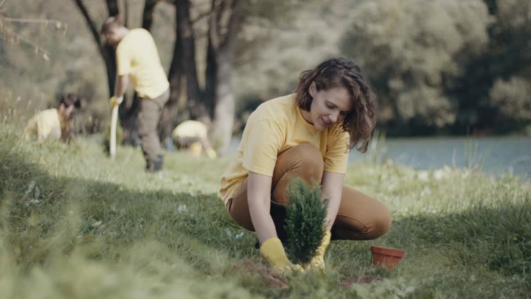 Best Lawn Irrigation Installation and Maintenance  in Milton, GA